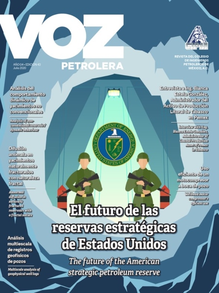 EL FUTURO DE LAS RESERVAS ESTRATÉGICAS DE ESTADOS UNIDOS - Julio 2020